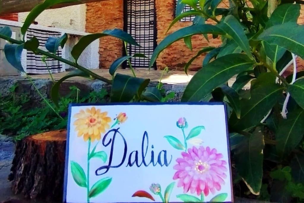 Paraje La Suerte Apartamento Dalia آدرا المظهر الخارجي الصورة